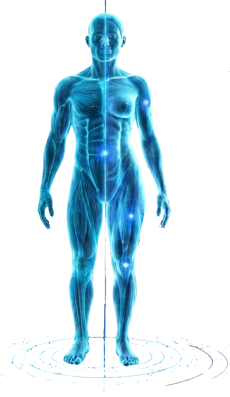 Figura anatómica